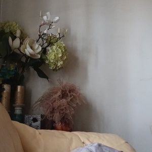 Meet your Posher, Shaniqua